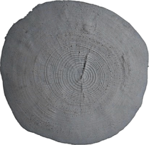 Vertical skin weatherwood end grain