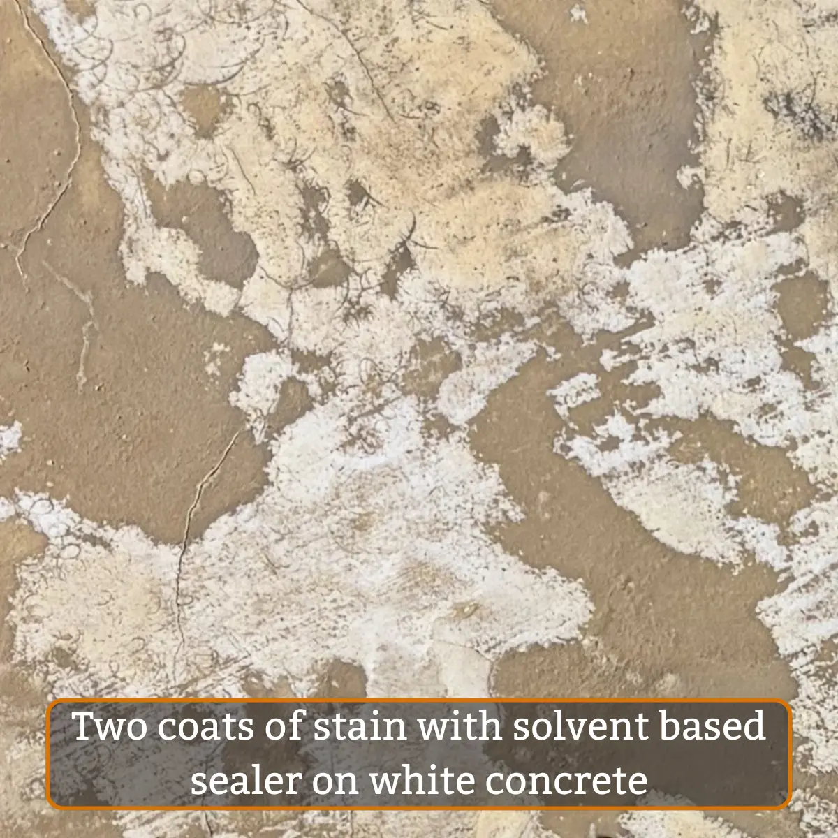 Tru Tint WB | Water-based Concrete Stain | Champagne - Image 4
